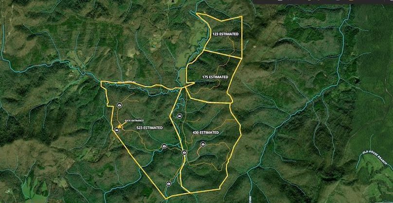 Screenshot 2025-08-19 at 1.17.05 PM