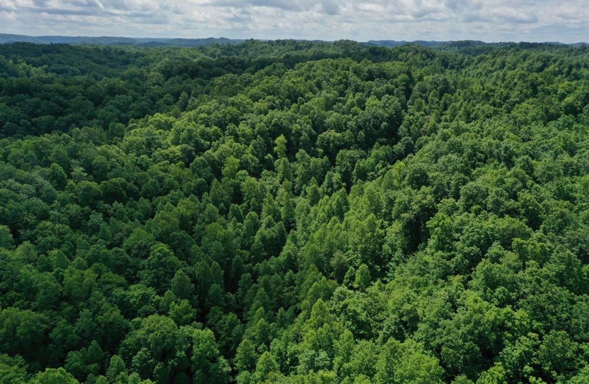 002 aerial drone shot from the north boundary near the road looking south to the back ridge