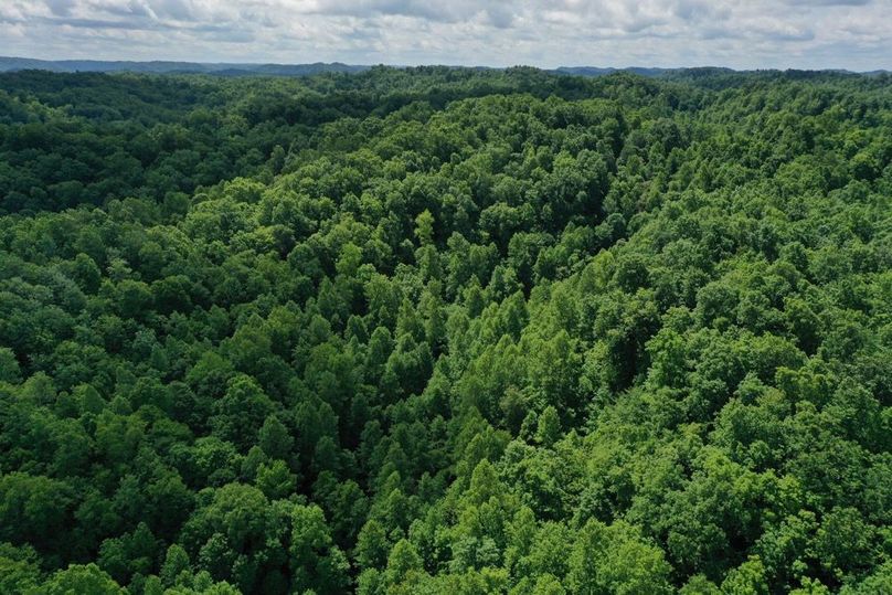 002 aerial drone shot from the north boundary near the road looking south to the back ridge