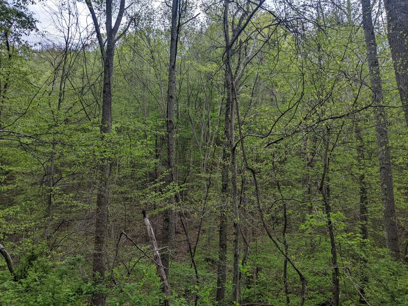 PXL_20230504_214749700