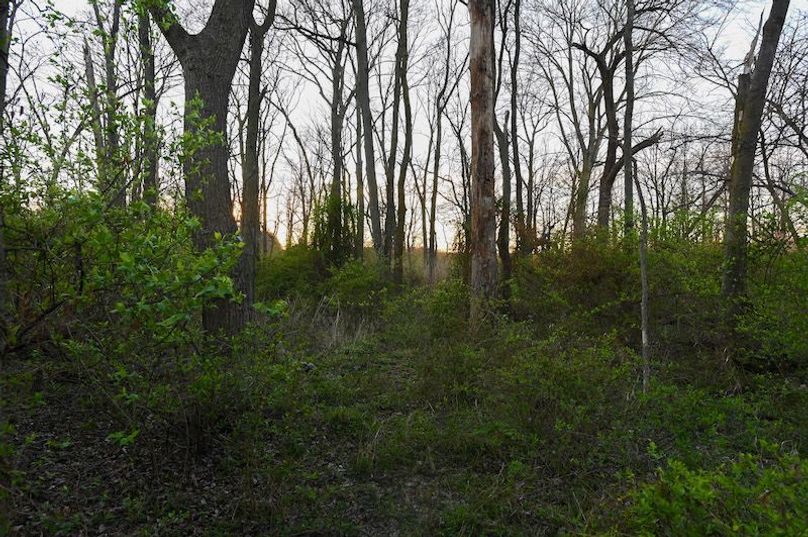 vandalia 450 (2)-2298