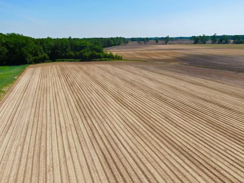 F6260CF998095E7168A1B401A398091A