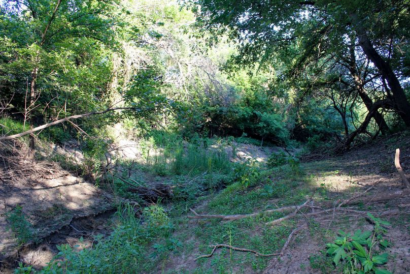 Ottawa, KS, 8.95_032