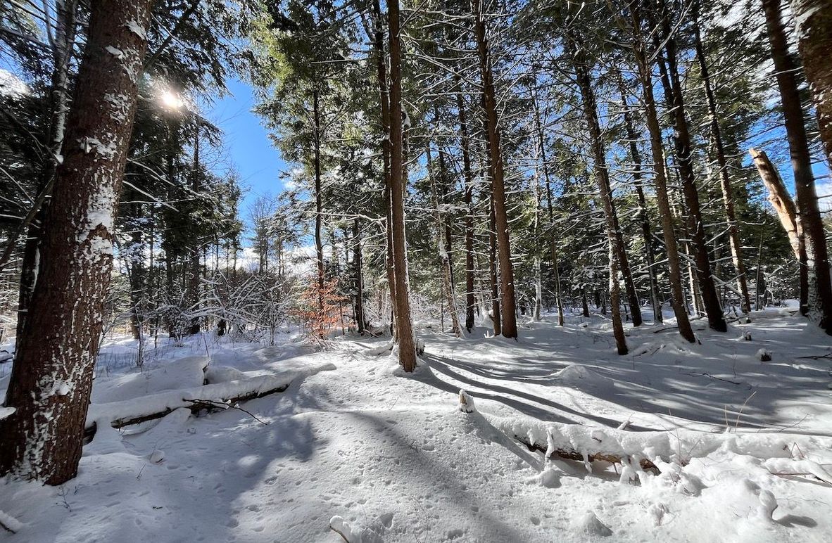 Oswego_11.78_Somberg Photo 5