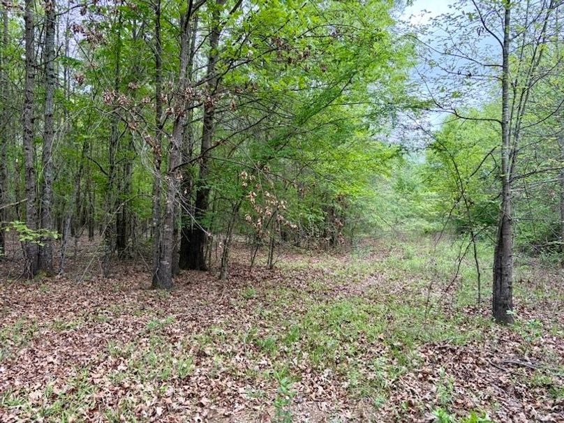 692B1E80-7654-4BA2-8FCF-99AFA43D60BE_1_105_c