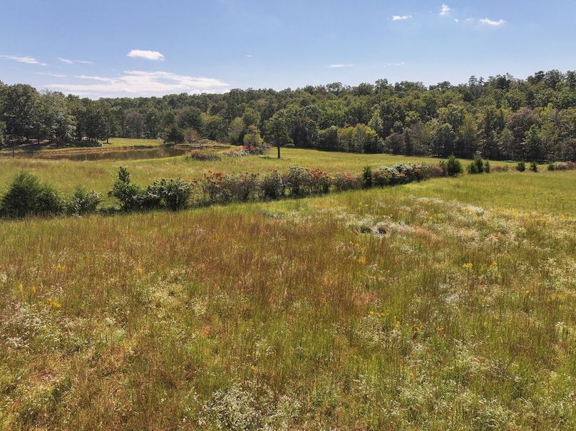 DJI_20240925113310_0229_D