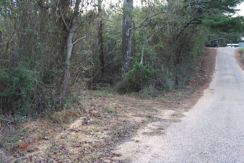 F468D556-6453-411B-A5C0-D03B3DA8F8FA_1_105_c