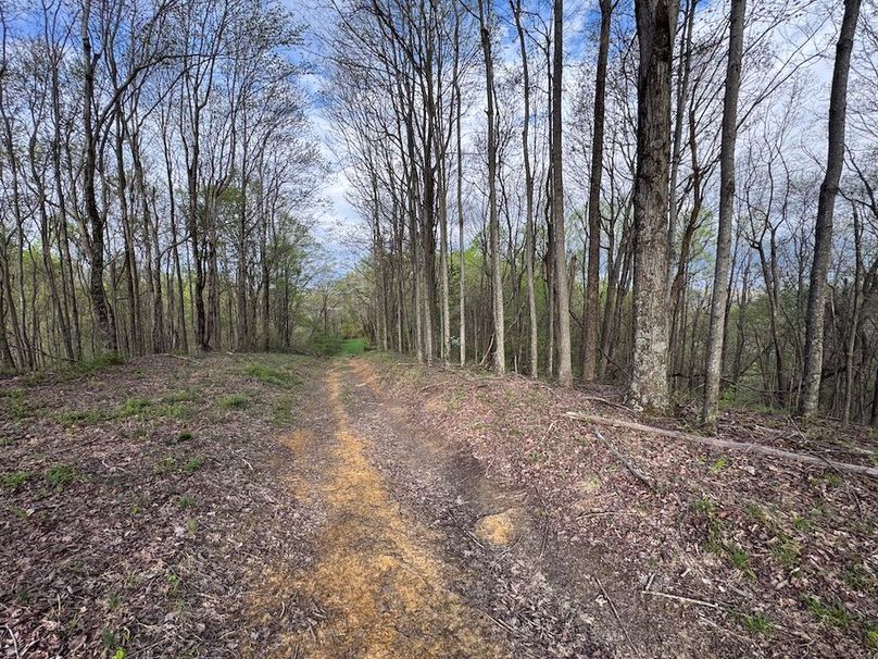 Calhoun, WV 132.84 AC Szegi 2-133