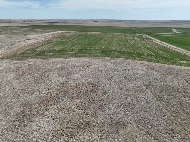 DJI_0360