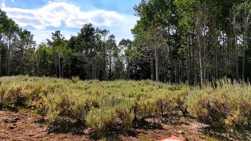 DJI_20250726162838_0047_D