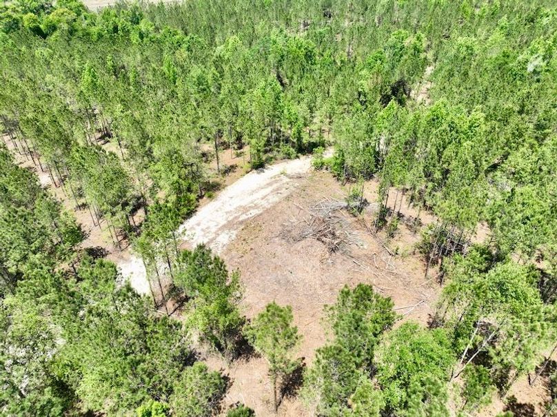dji_fly_20260429_133852_635_1777484709407_photo