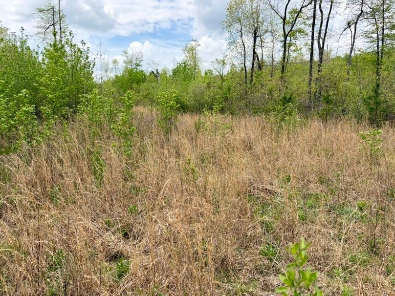 D49177A9-0AEA-463B-8AAF-2A8BA18021FE_1_105_c-2