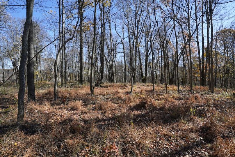 Somerset, 10.91, Tinkey-45