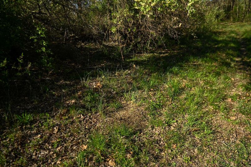 vandalia 450 (2)-2484