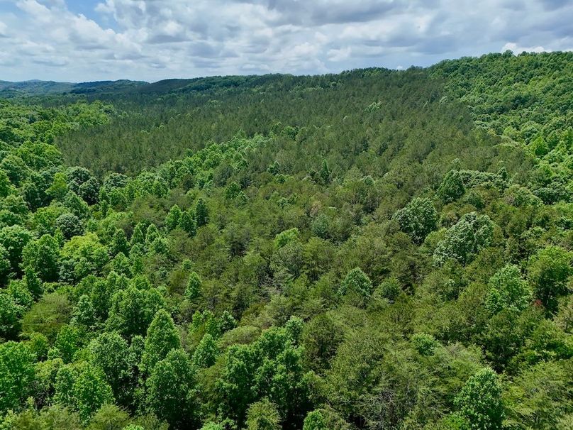 DJI_20260527142426_0012_D