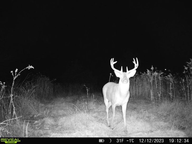 860322065128164-1-4-12122023191234-V-W1006414