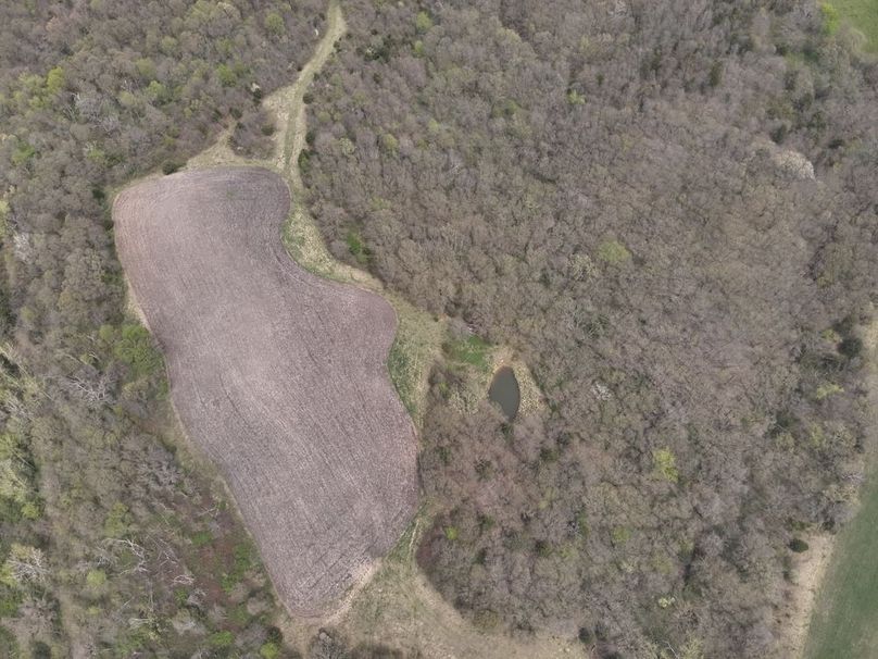 DJI_20250424131022_0005_V