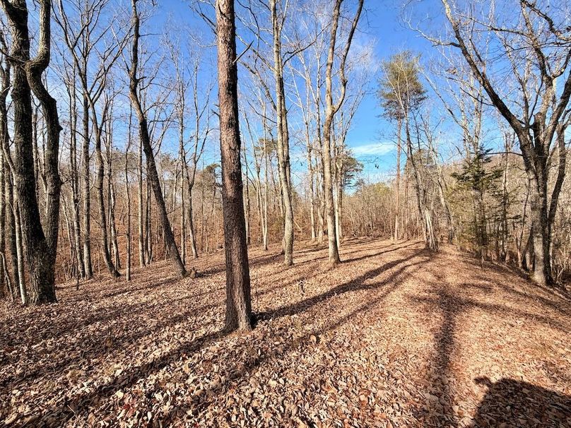 Roane Co TN 396 20251127_82