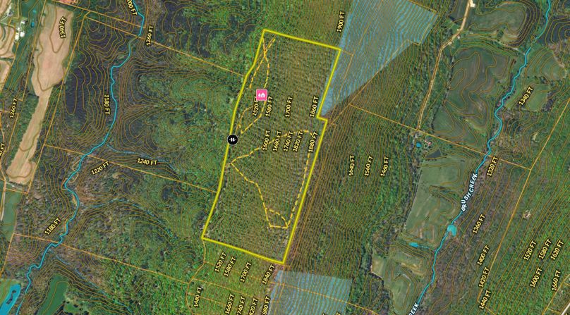 bedford 130 contours