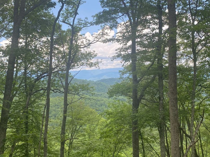 Swain 39 Tysinger-02