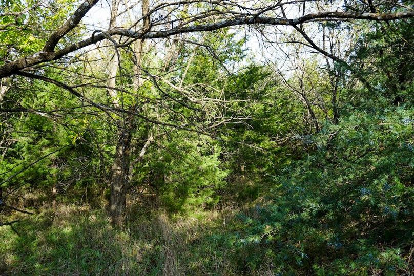 Dickinson Co, 154.5_053