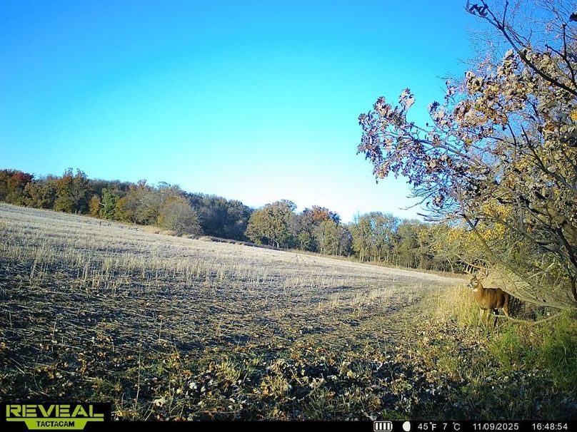 860322062399974-100-4-11102025031655-HD-SYEW7070