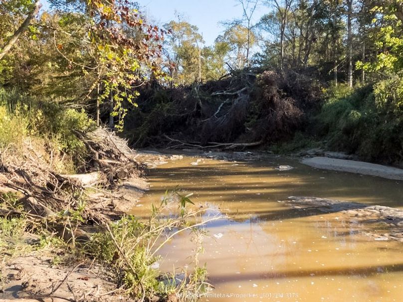 Claiborne Co-189-Geronimo-32