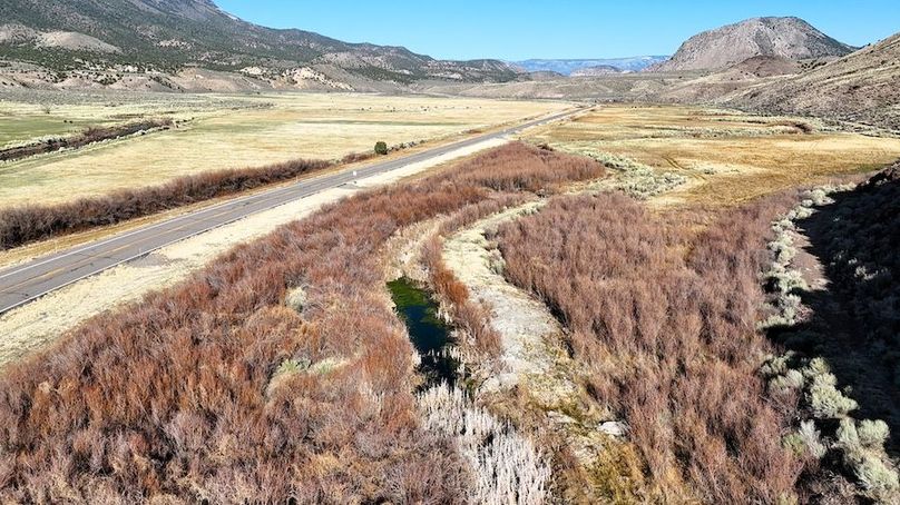 DJI_20250414085539_0124_D