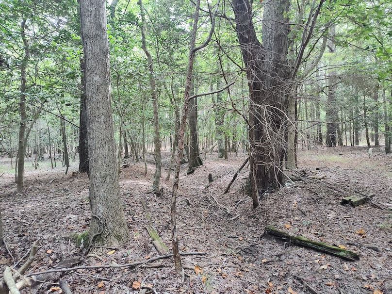 IMG_20250830_121550262