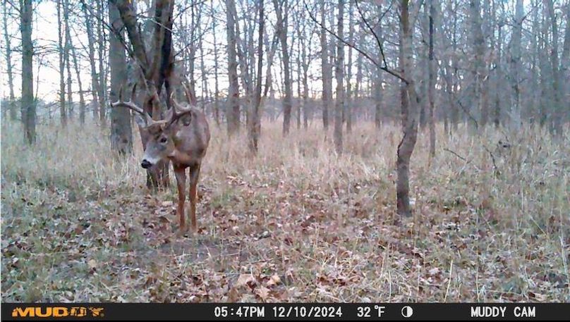 D Image 12-28-24 at 6.12 PM 2