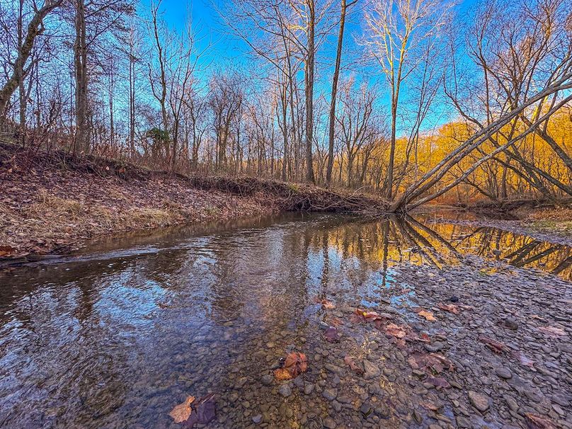 Pleasants_Wood 169.97 AC Cokeley-20