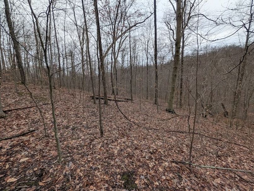 PXL_20260107_211726313.MP