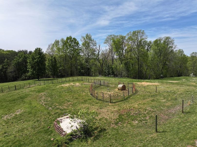 dji_fly_20260408_135356_0865_1776104751164_photo