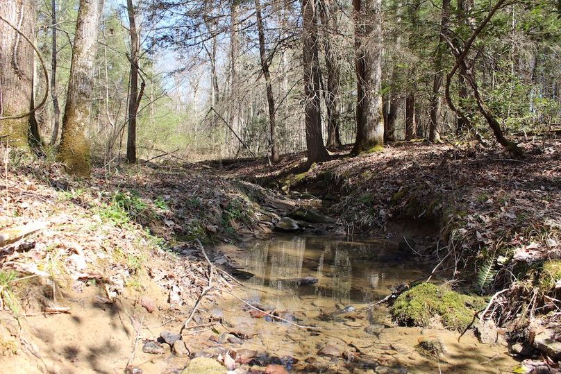 018 nice seasonal stream near the west boundary