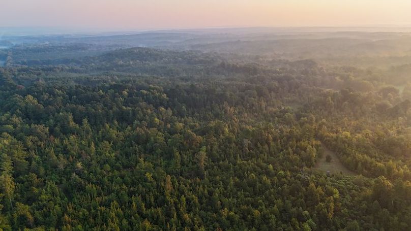 Madison Co - 40 - Clerk-22