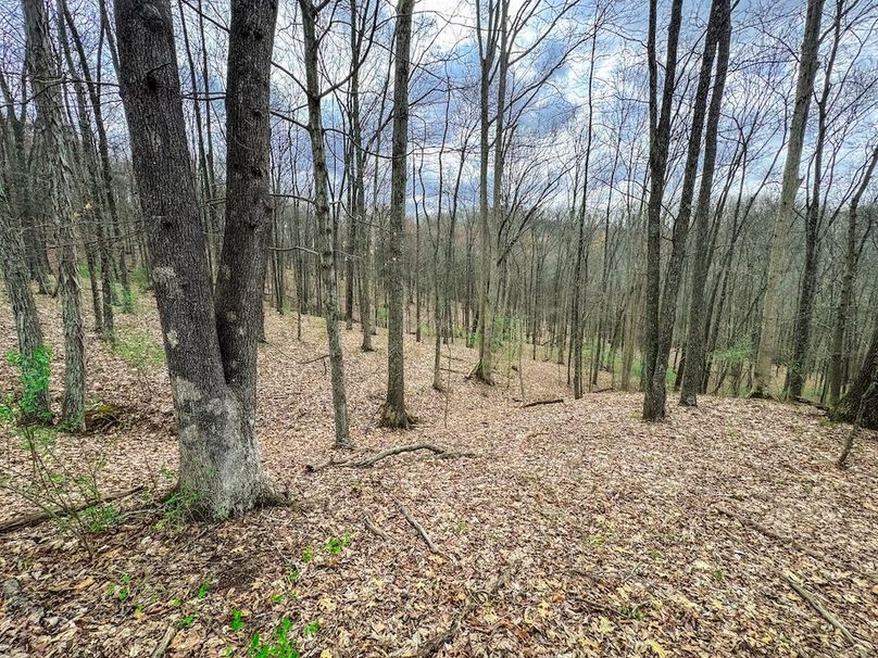 Ritchie, WV 206.08 AC Curriden-59