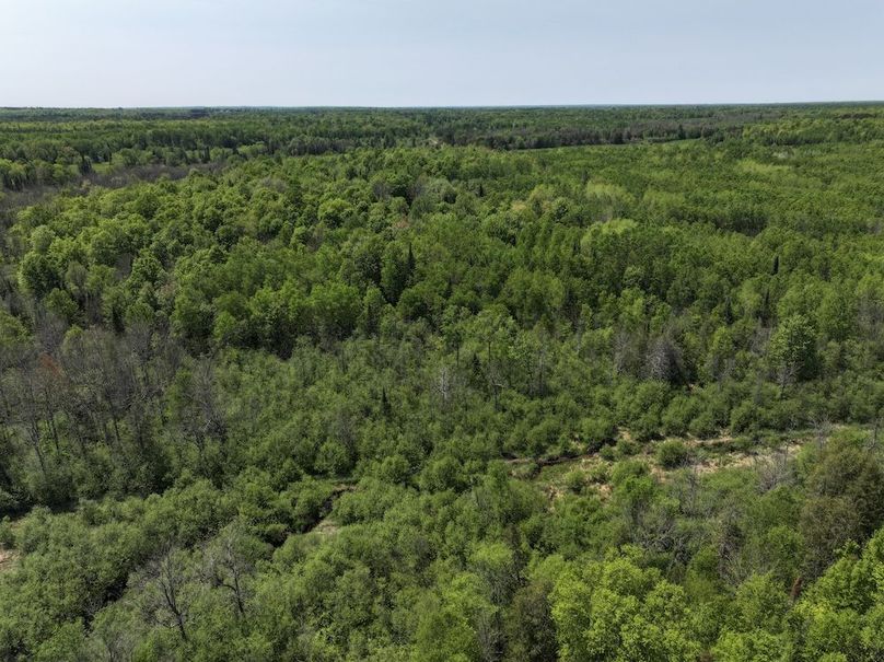 DJI_20250601163408_0021_D