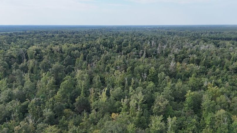 DJI_20250814092021_0064_D