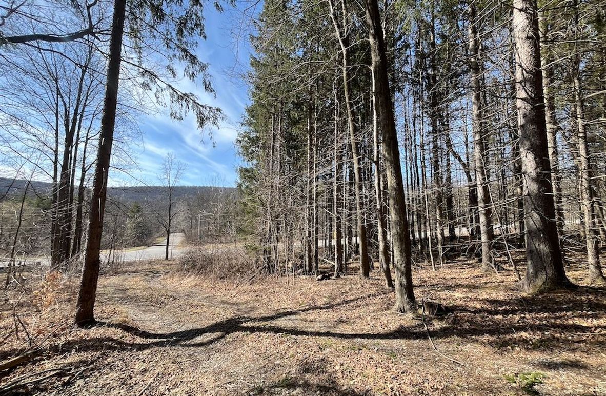 Ontario_39.6_Powell Photo 5