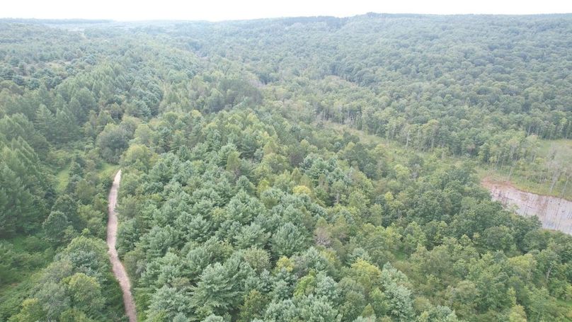 dji_fly_20250804_152046_475_1754355844556_photo