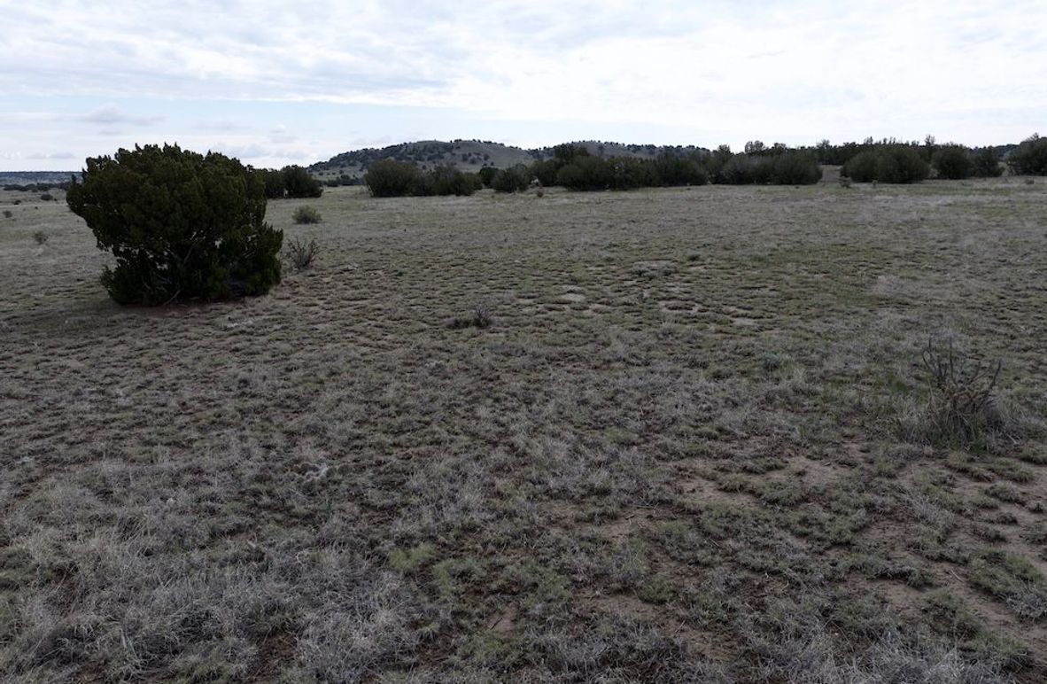 Las Animas CO 40 Carey 7