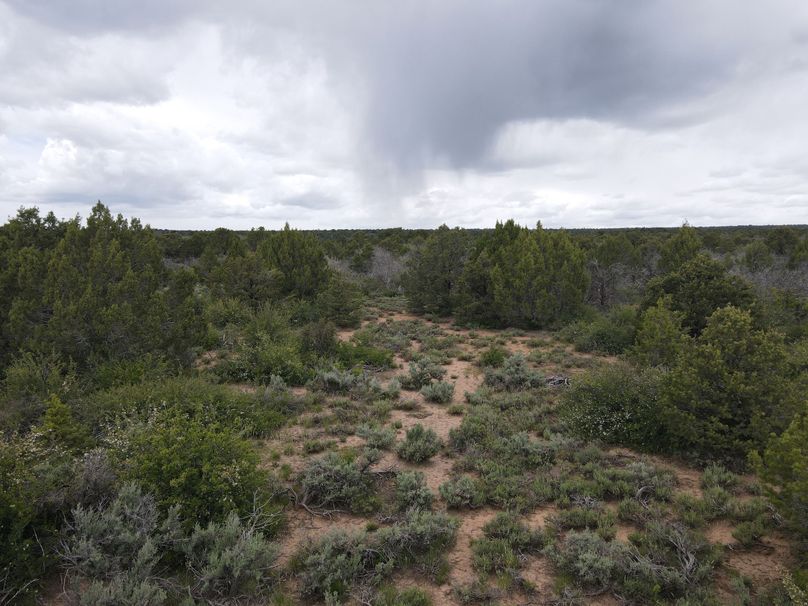 dji_export_1685968221719