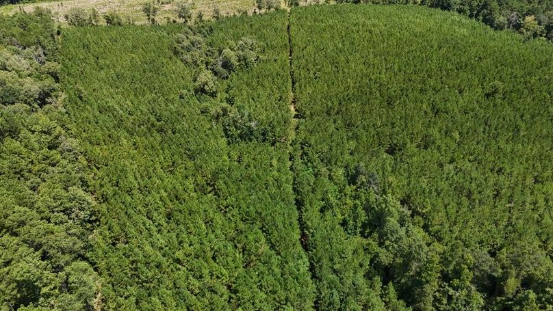 DJI_20250727033942_0548_D