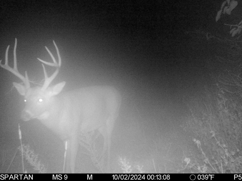 File Oct 09 2024, 7 39 45 PM