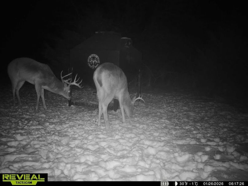 864049055449112-100-2-01262026075248-HD-SYEW8790