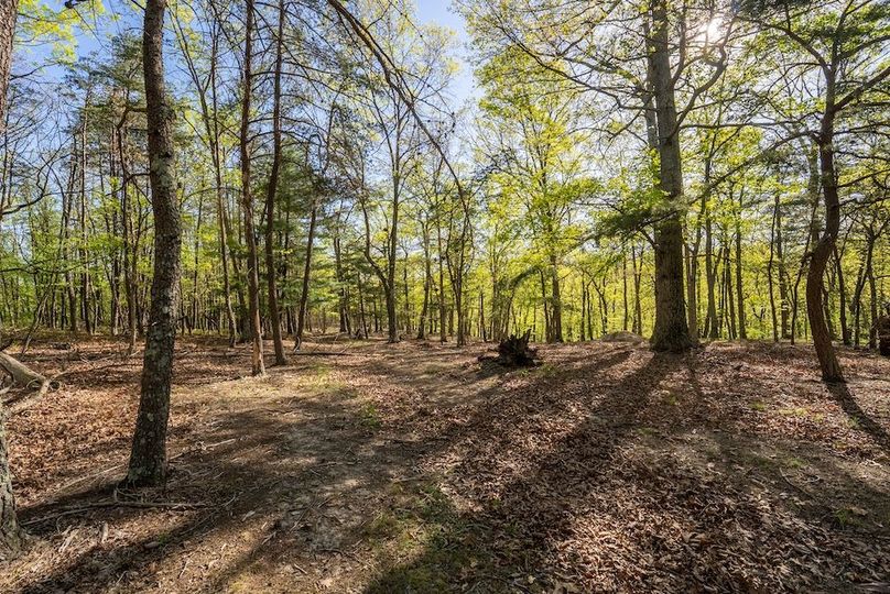 Hampshire WV 106 Featured_Pro Photo-37