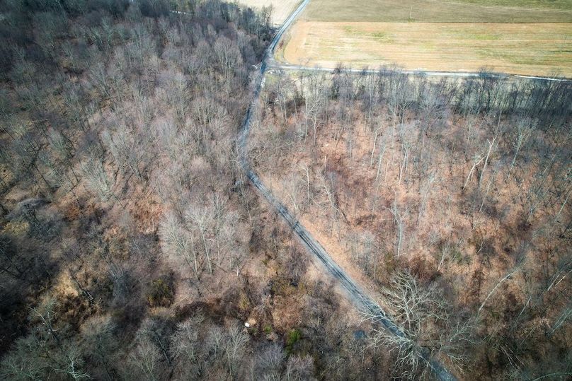 dji_fly_20260302_104254_540_1772466945994_photo