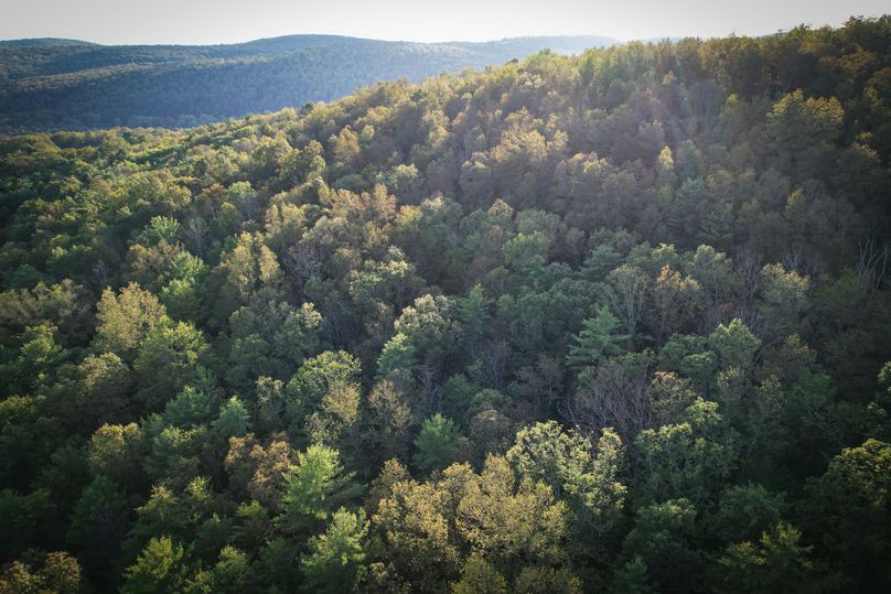 Tioga_20_Peters Photo 3