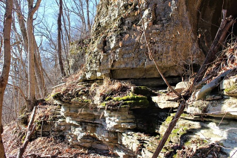 028 one of several rock faces in the middle of the property