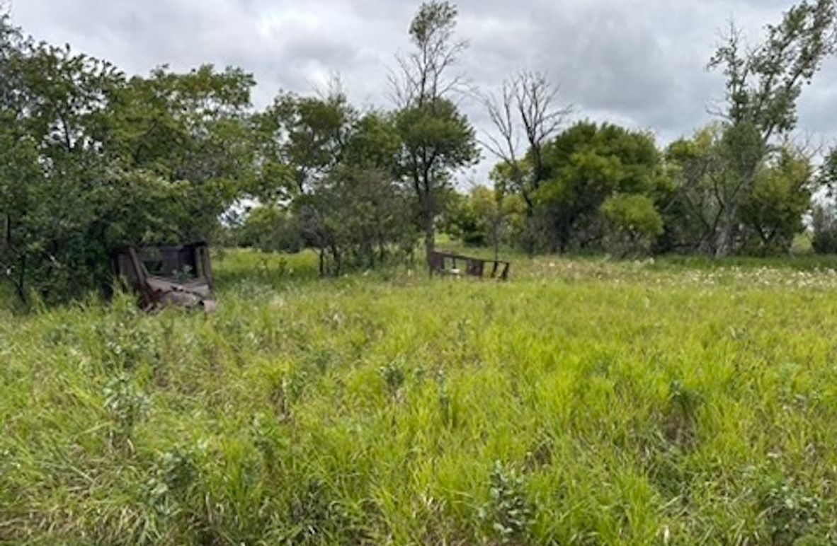 37C7F9D4-29B9-4CCC-B41D-7E25011B8D9D_4_5005_c